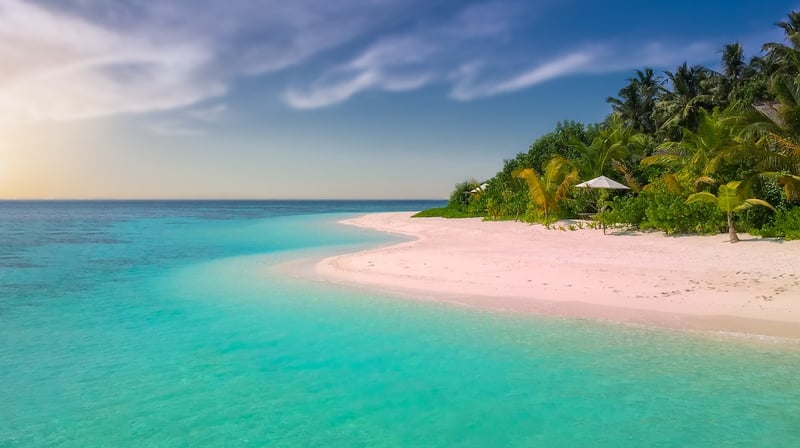 Beach Paradise