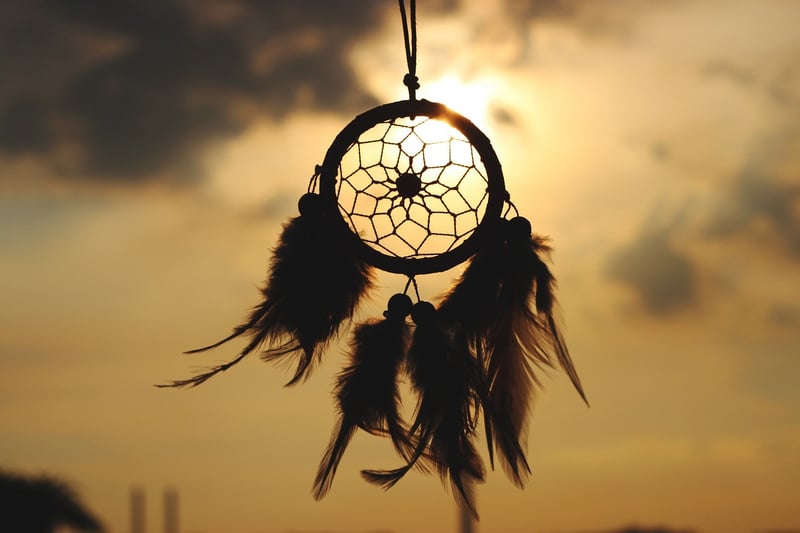 Dreamcatcher Earrings